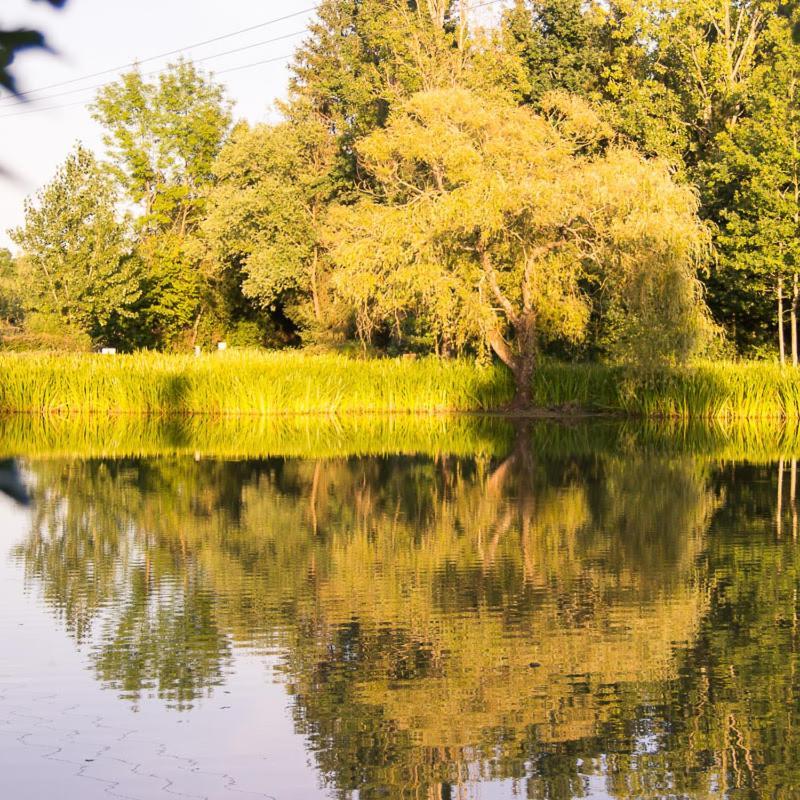 Camping Campilo Hotel Aubigny  Bagian luar foto